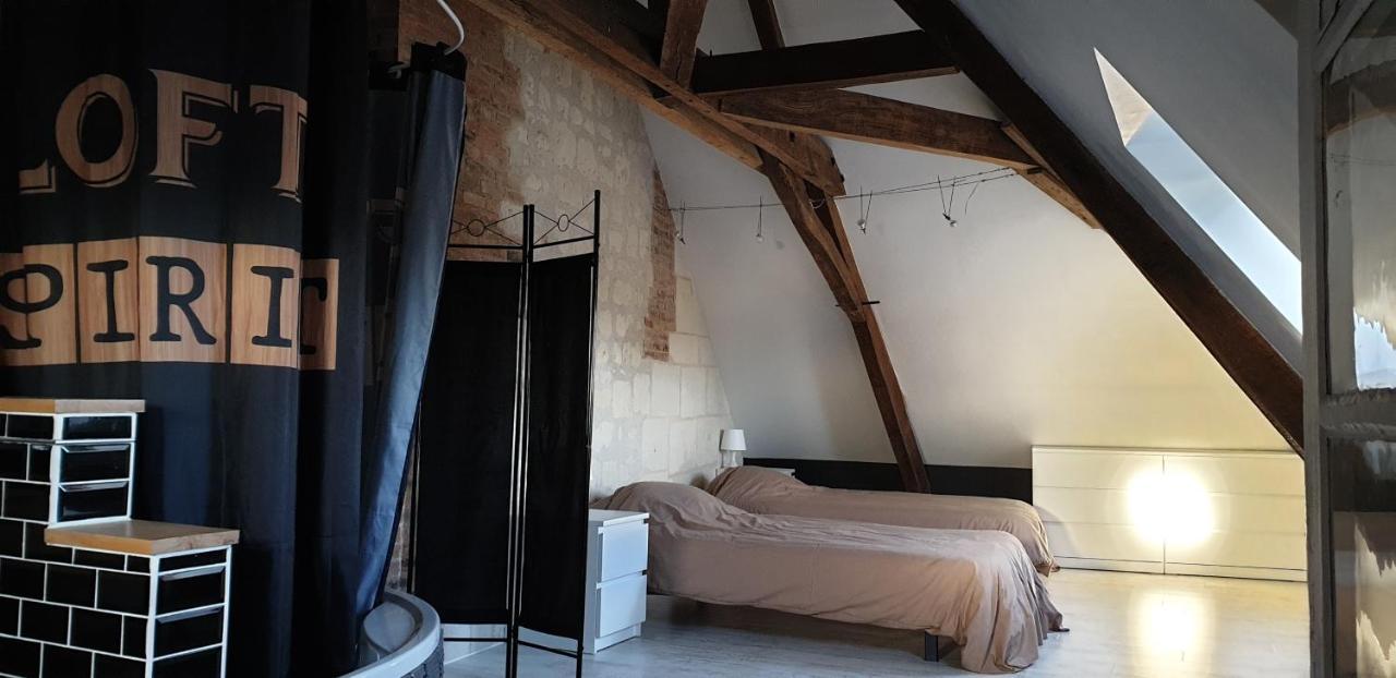 Bourgueil - Grand Appartement Proche Cnpe Chinon Exterior foto